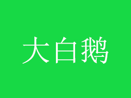 ɽﺣ׶ʳƷ޹˾