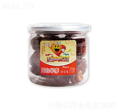 һ忪İ210g