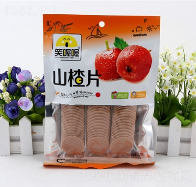 ЦɽƬ120g