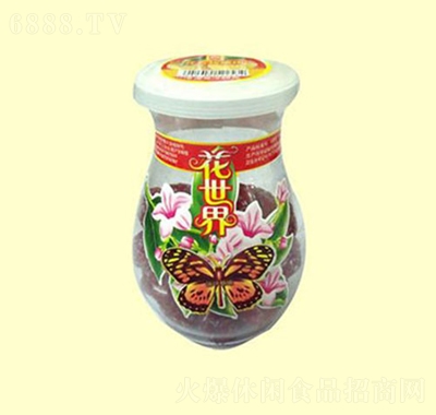 万蜜花世界话梅肉蜜饯果干办公室休闲零食