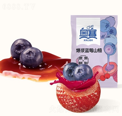 ɽ髶װ